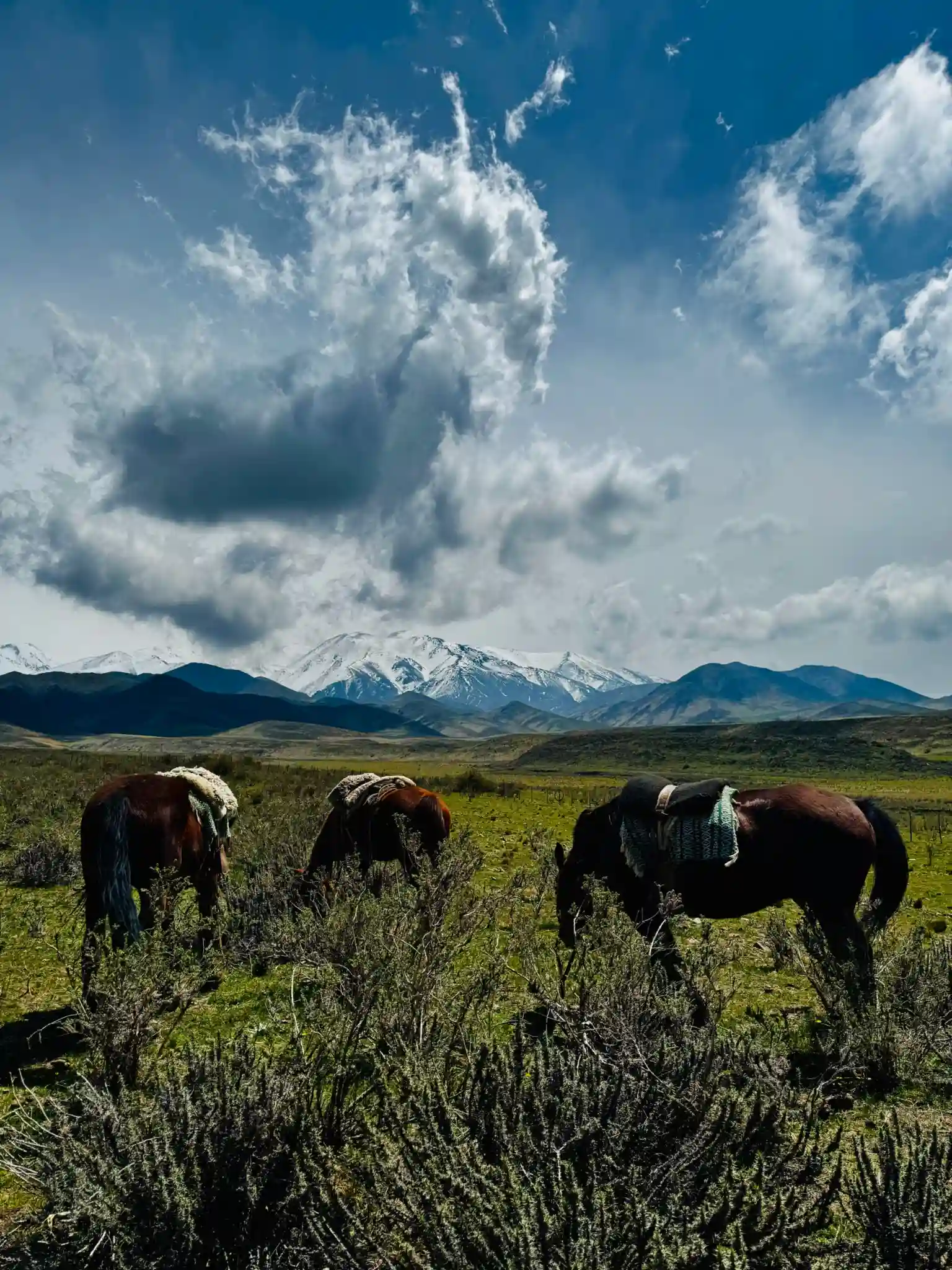 atardecer-cabalgatas-tupungato
