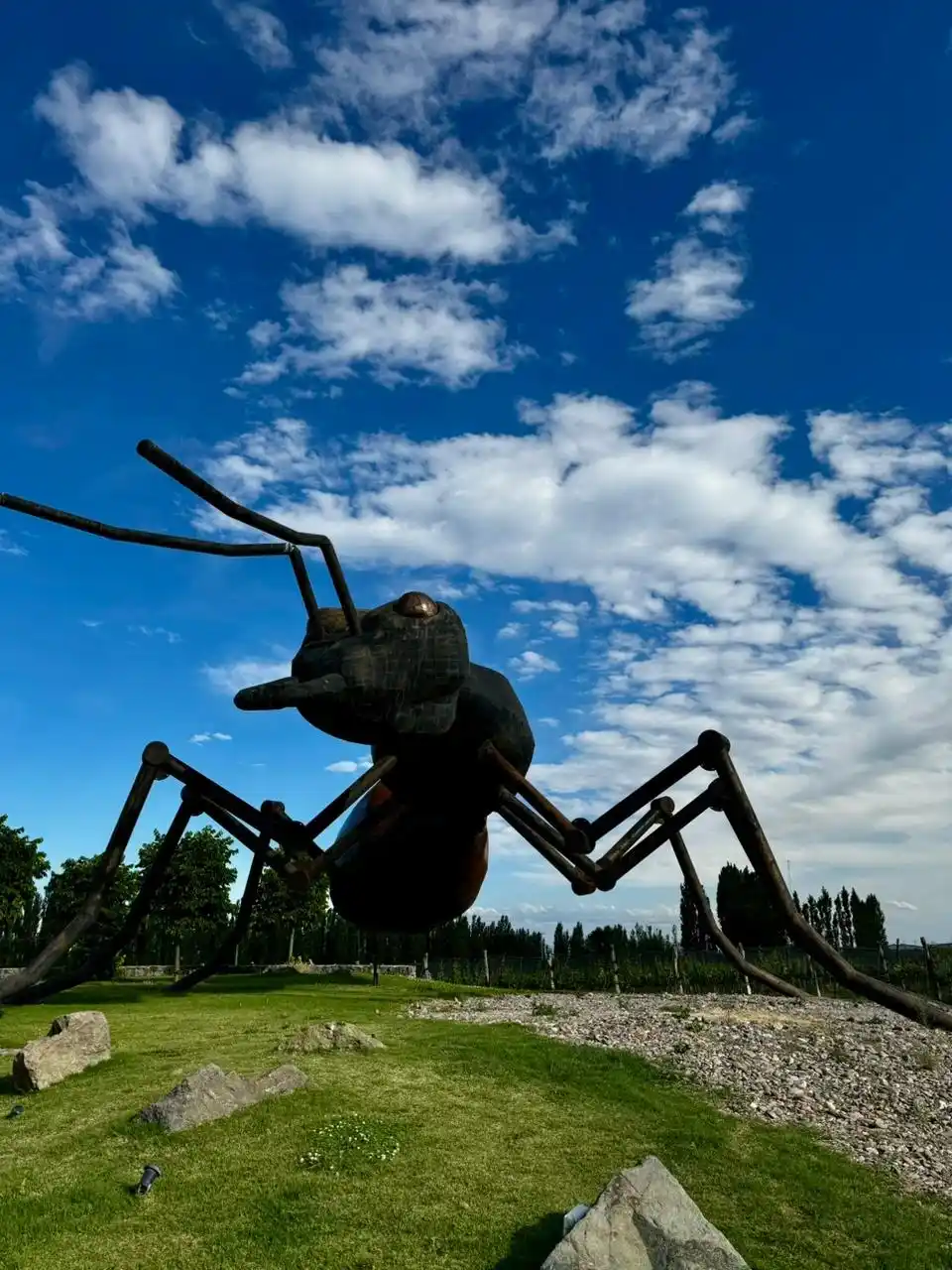 bodega-huentala-wines-mendoza