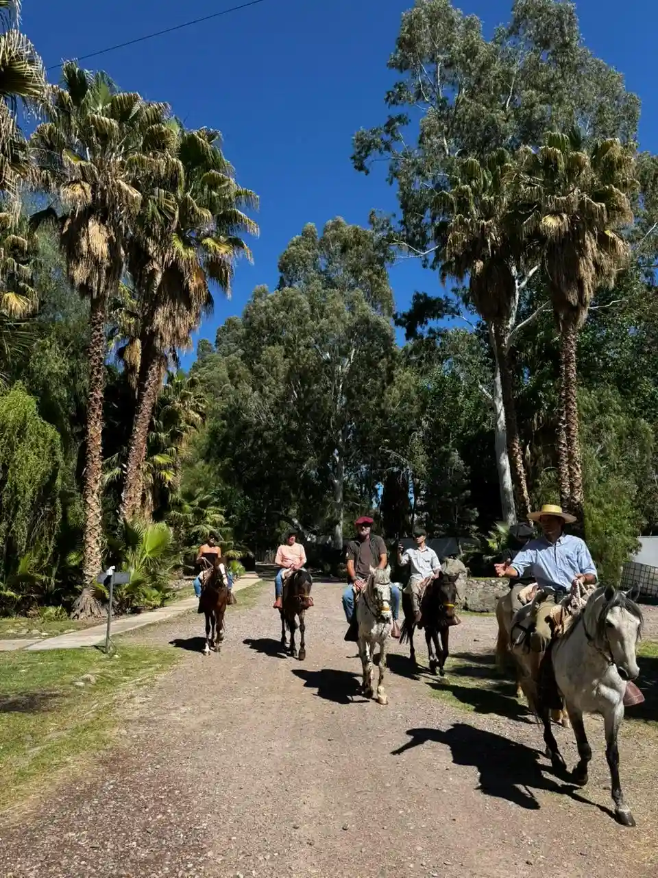 cabalgatas-grupo-tupungato