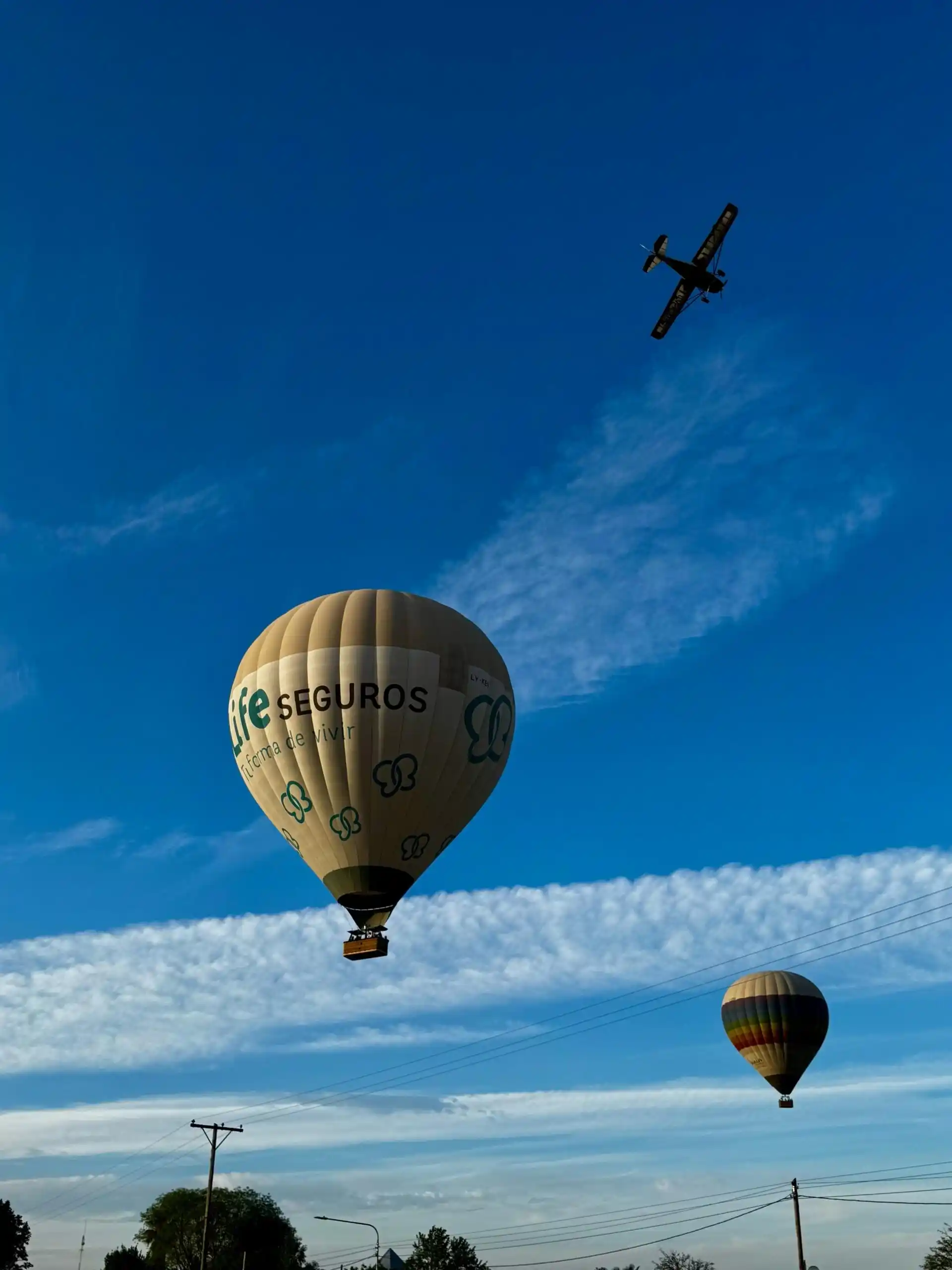 Globo aerostático al amanecer en Mendoza, Valle de Uco