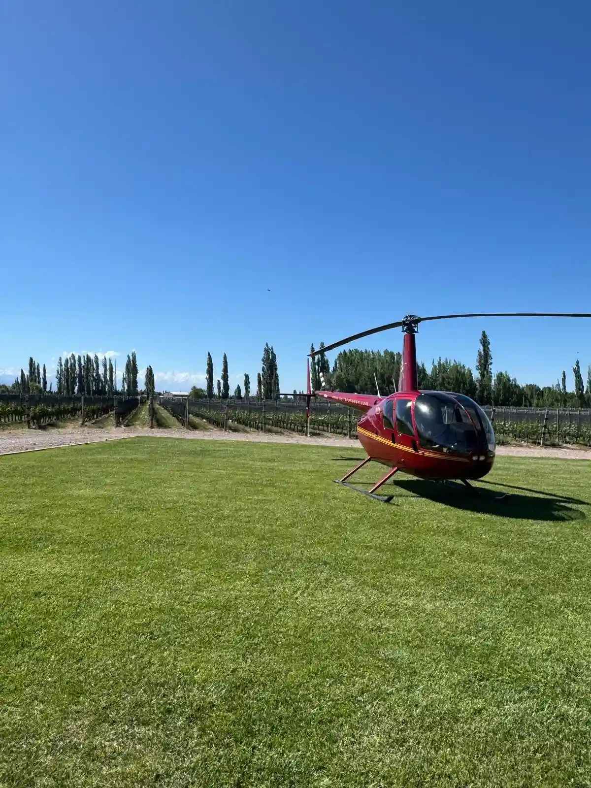 Paseo en helicóptero sobre viñedos en el Valle de Uco, Mendoza