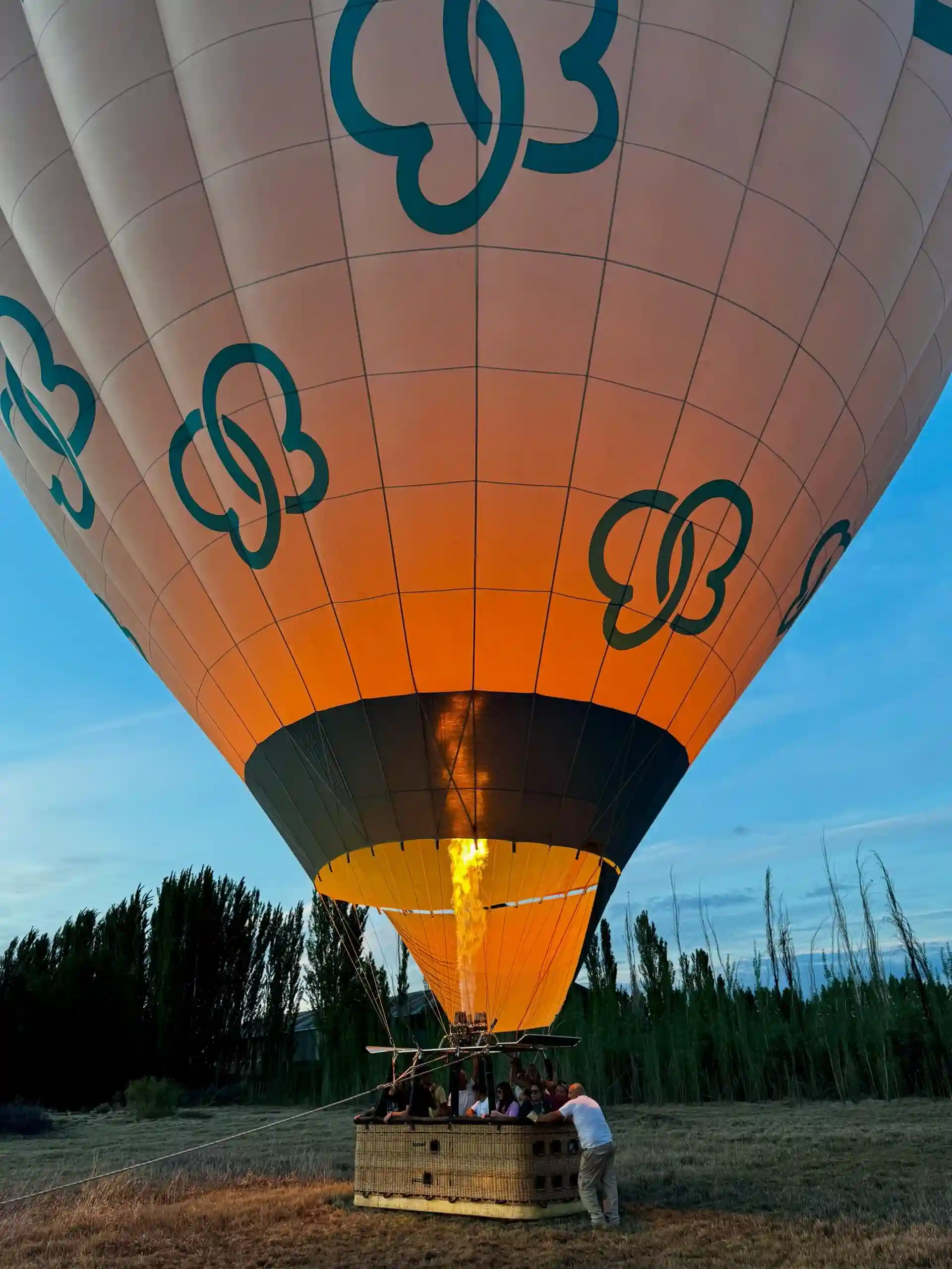 Paseo en Globo Aerostatico en Mendoza