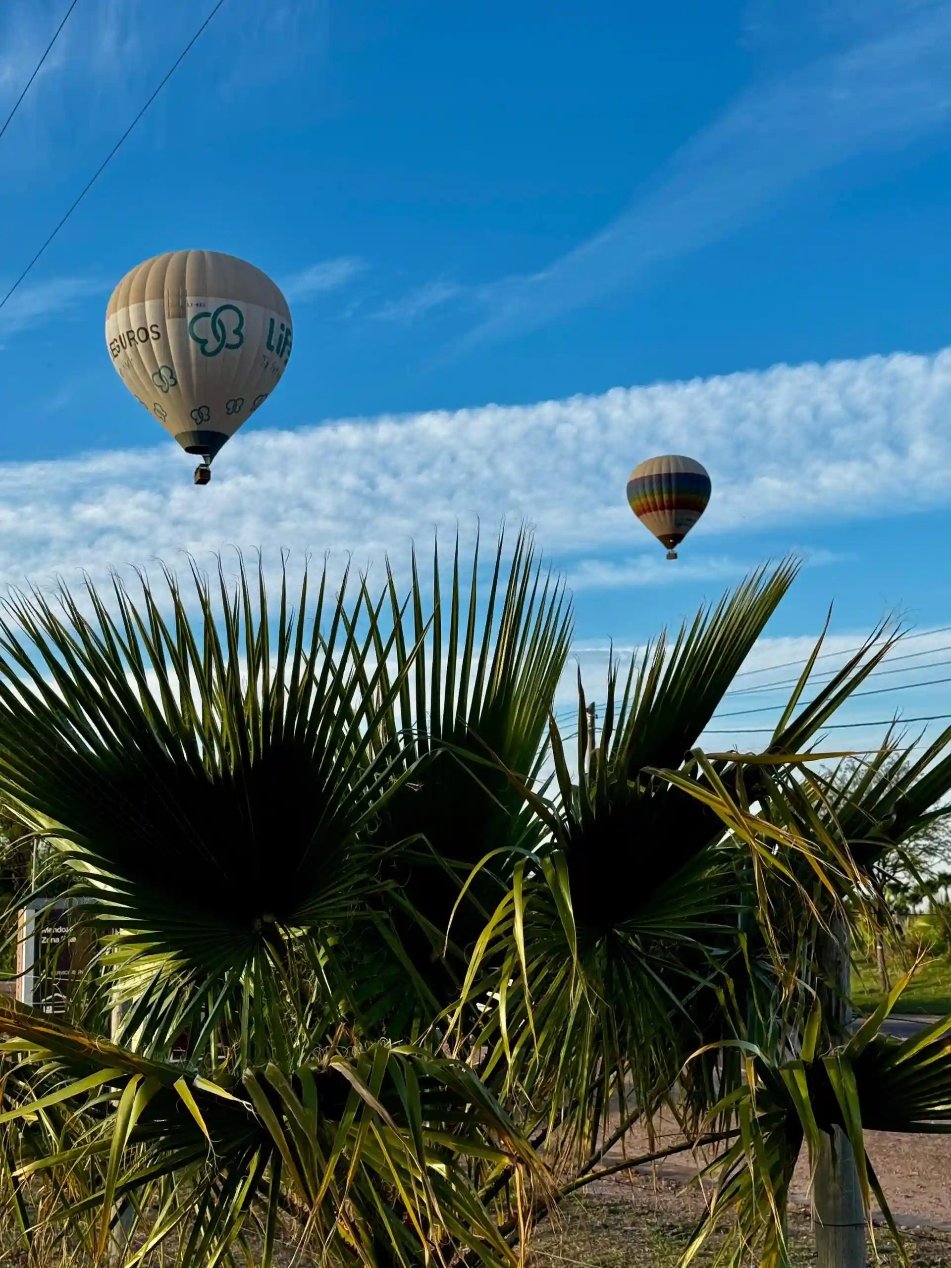 Viñedos Vista aerea mendoza